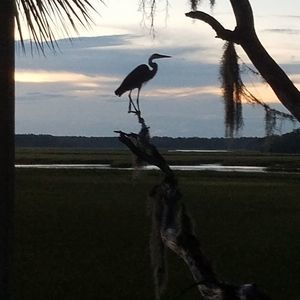 Meet your Posher, Betty